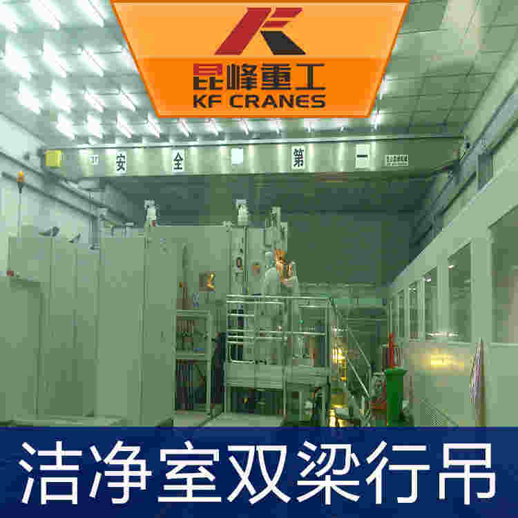 洁净室双梁行吊