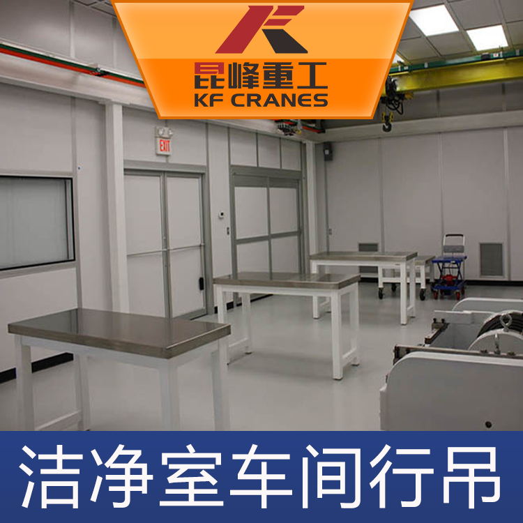 洁净室车间行吊22.jpg